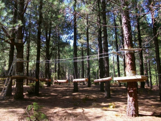 Puente de troncos.jpg